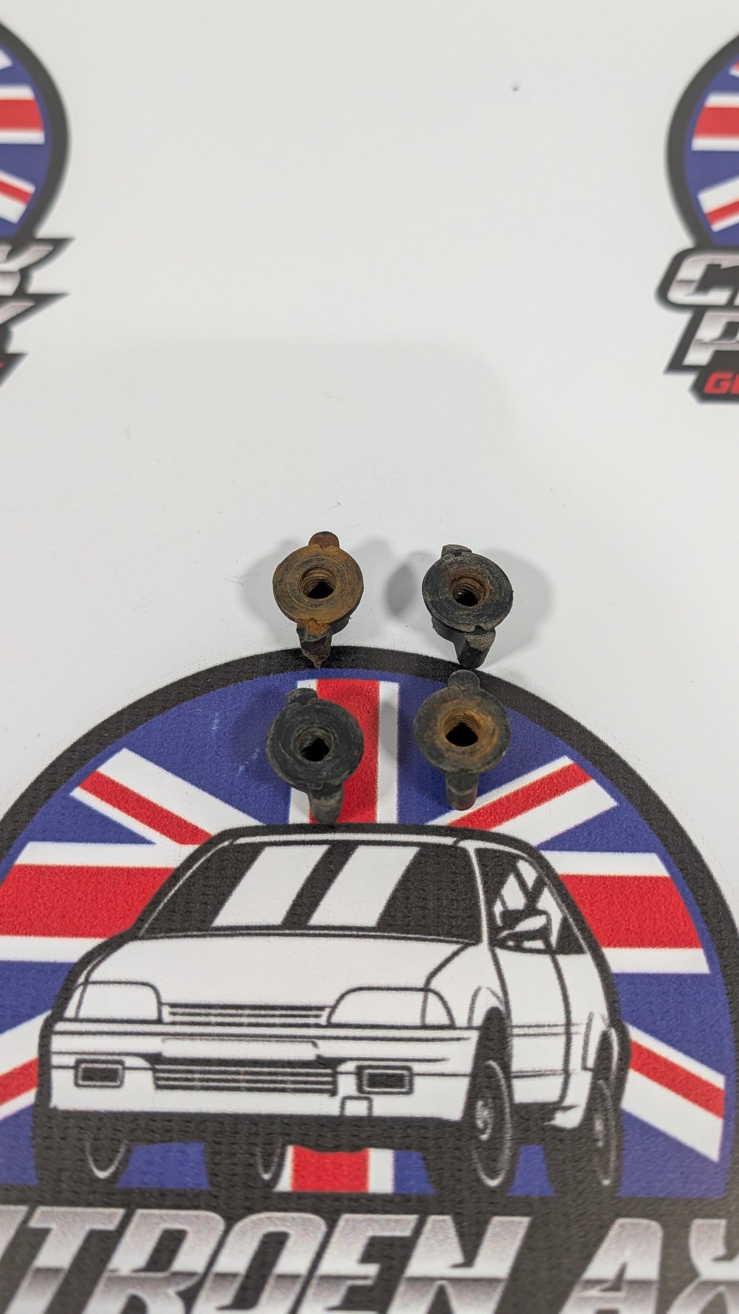 Citroen AX Rear Brake Light Retaining Nuts