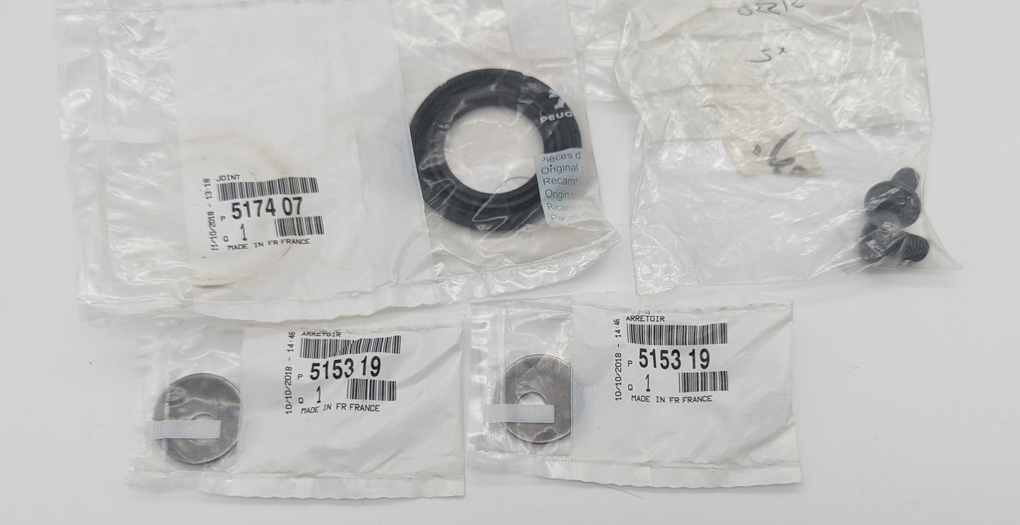 Genuine Citroen AX/106/ GTI Torsion Bar Seal Kit