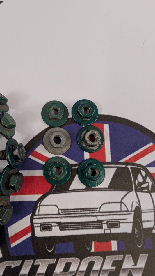 Citroen AX Front Wing Mounting Nuts And Bolts
