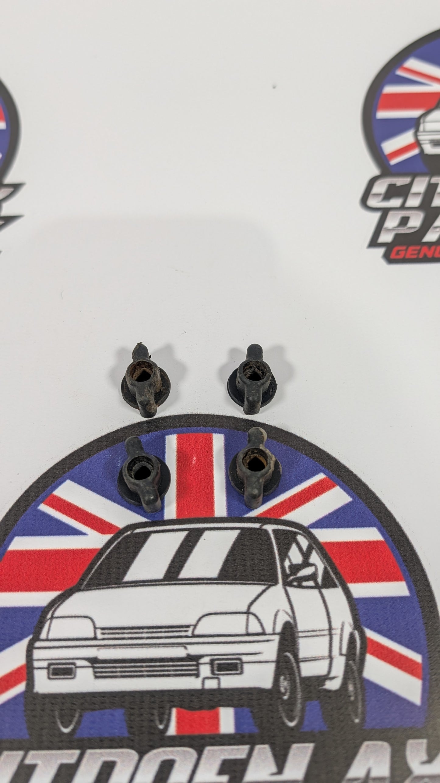 Citroen AX Rear Brake Light Retaining Nuts