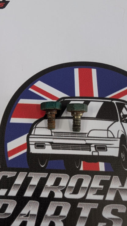 Citroen AX Bonnet Hinge Bolts