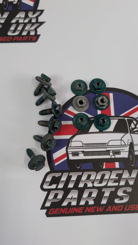 Citroen AX Front Wing Mounting Nuts And Bolts