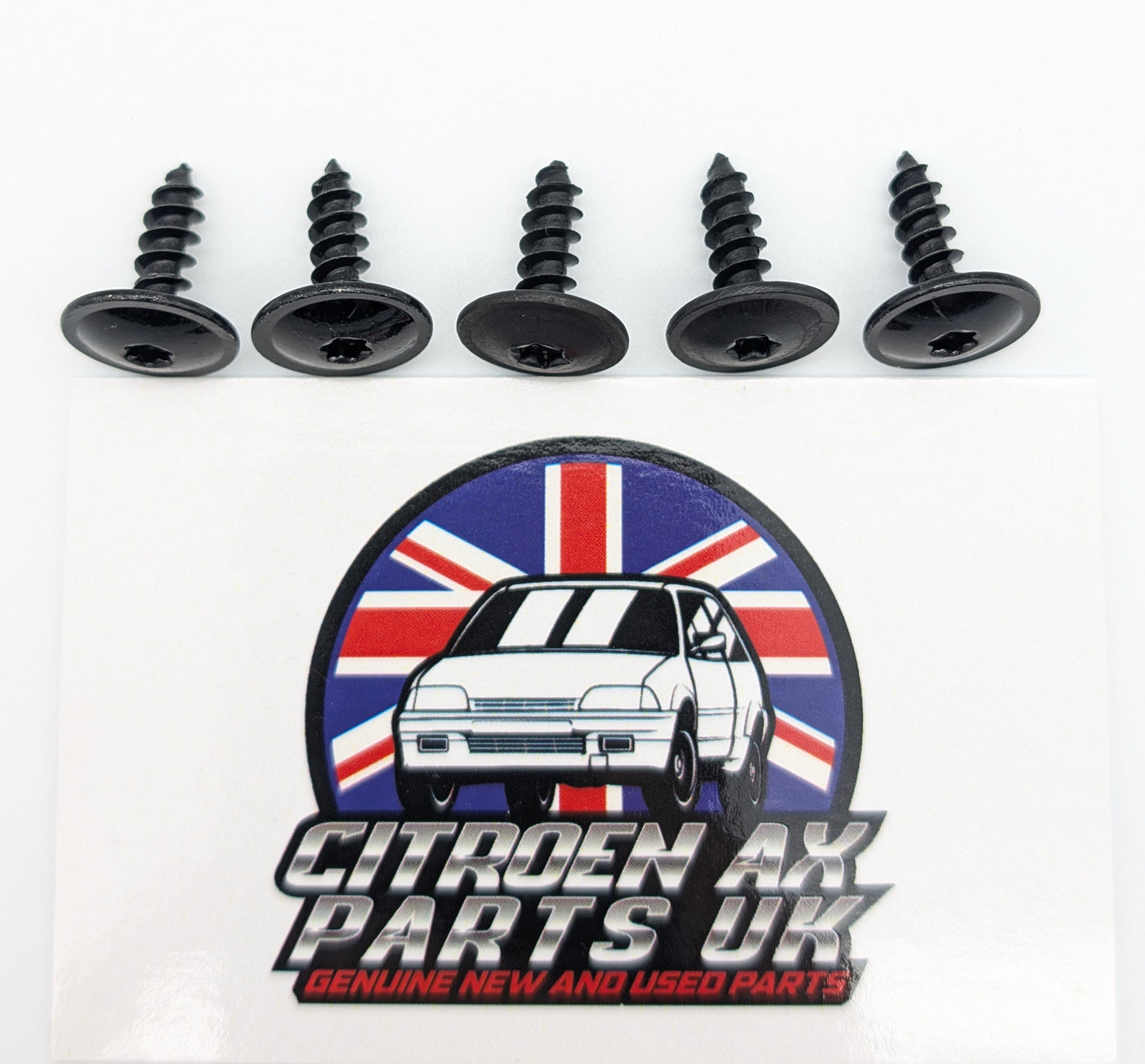 X10 Citroen AX GT, GTi, Sport, Forte Body kit screws