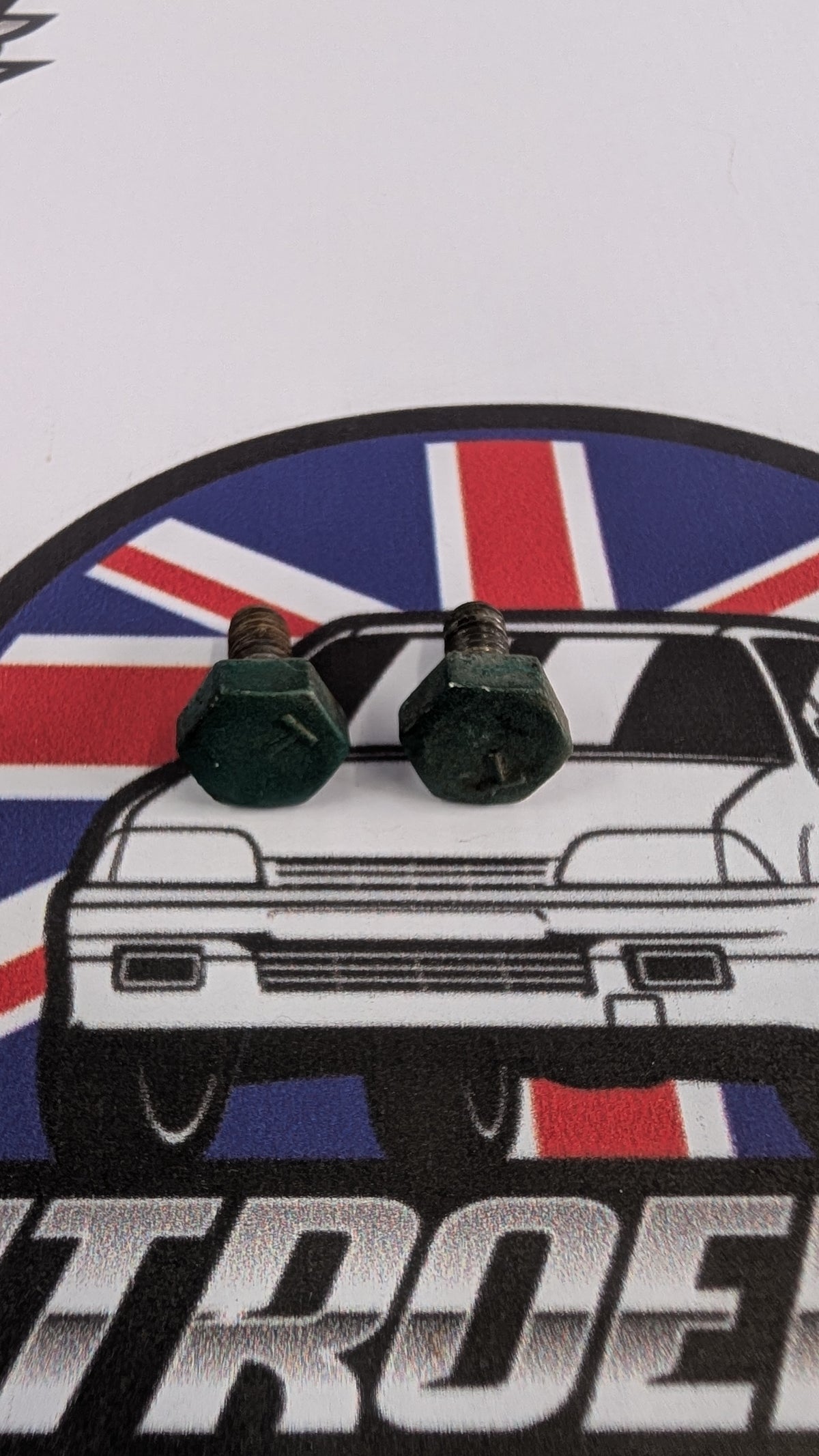 Citroen AX Bonnet Hinge Bolts